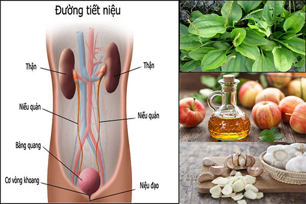 phương pháp điều trị viêm đường tiết niệu