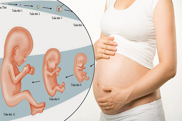 Những yếu tố ảnh hưởng đến cân nặng của thai nhi, mẹ cần biết