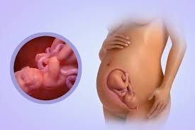 Hé lộ: vì sao mẹ bầu nên siêu âm thai 34-35 tuần tuổi