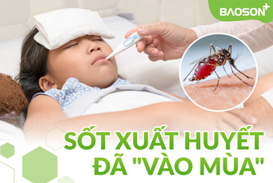SỐT XUẤT HUYẾT & Cách Phòng tránh bệnh