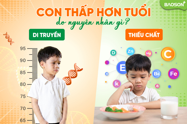 Con thấp hơn bạn cùng tuổi: Do di truyền hay thiếu chất?