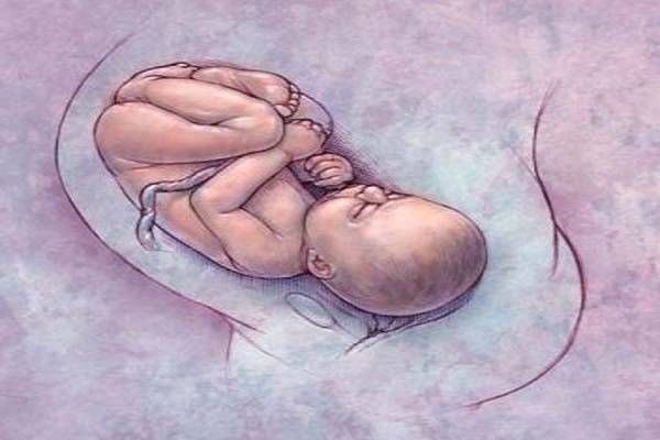 Sàng lọc trước sinh NIPT từ tuần thứ 10 thai kỳ để có hướng can thiệp kịp thời 